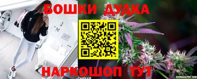 индика Нальчик