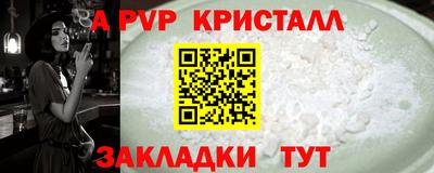 индика Нальчик